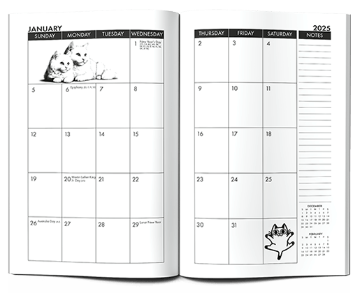 Inside Calendars with Cat Sketches