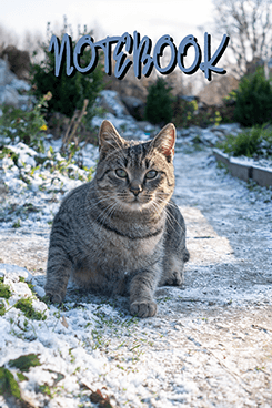 Winter Tabby Notes